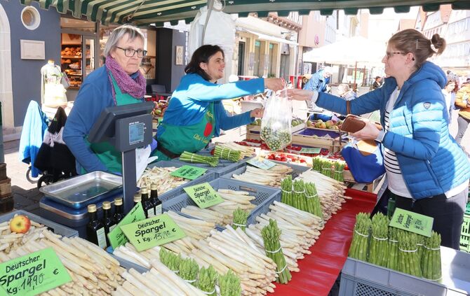 Spargel