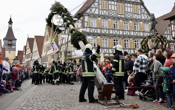 Maibaum