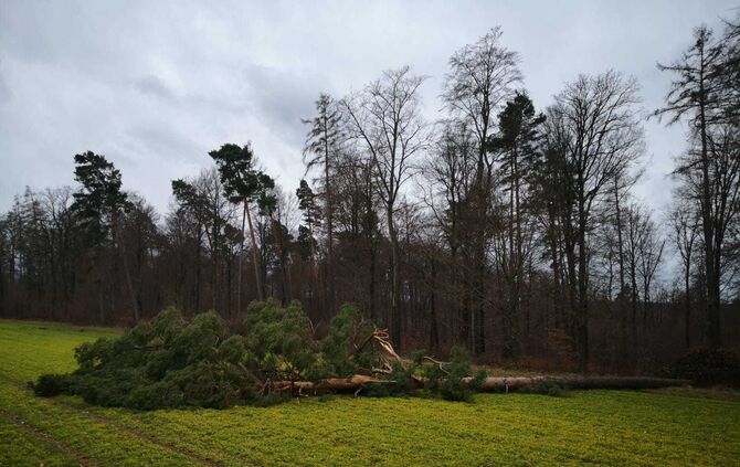 Sturmtief Bennet im Kreis_1