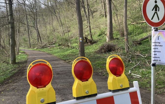 eschentrieb