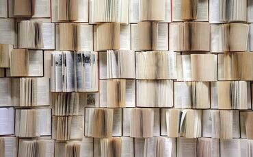 Bücher Literatur Symbolfoto Bücherregal