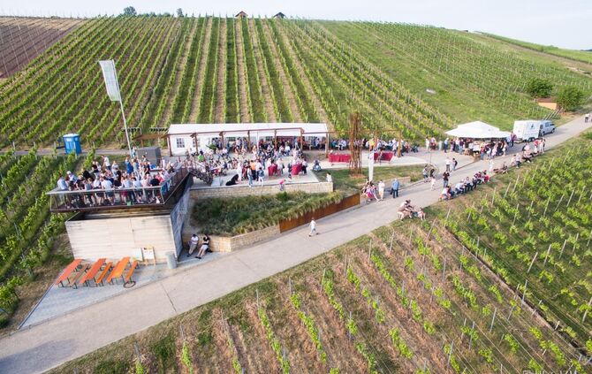 Wein & Walk Großheppach