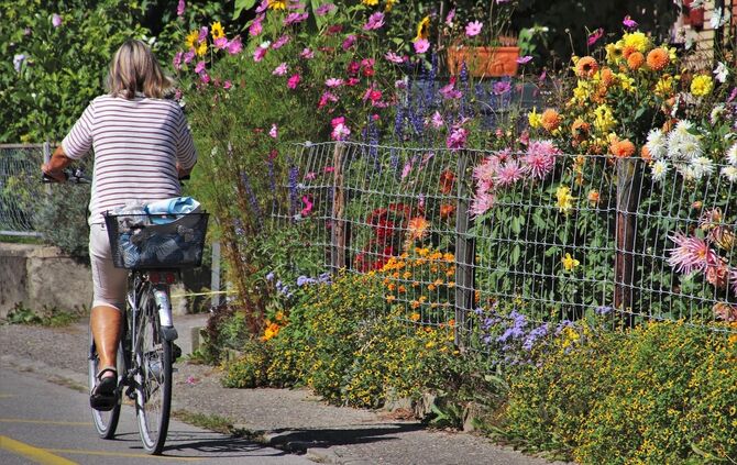 Fahrrad Bild