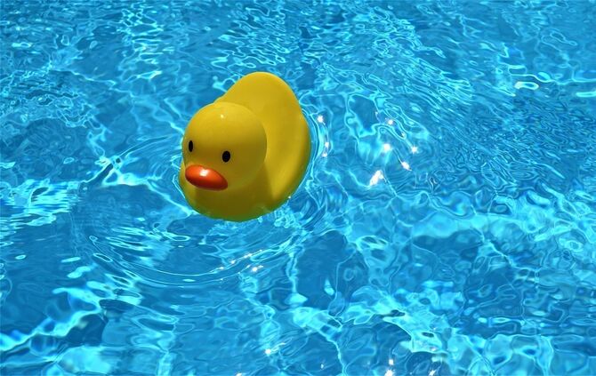 Badeente Quietscheente Schwimmente Symbol Symbolbild Symbolfoto