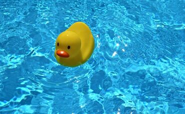 Badeente Quietscheente Schwimmente Symbol Symbolbild Symbolfoto