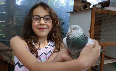 Manus kleine Hühnerfarm