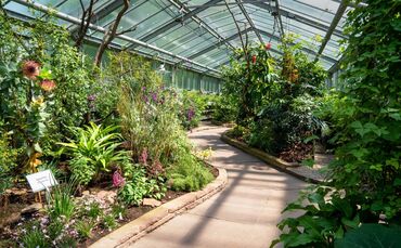 Im Wechselschauhaus der Stuttgarter Wilhelma ist derzeit die exotische Pflanzenwelt Afrikas zu erleben.