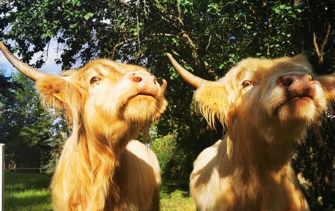 2de47e1a-b675-4465-ac64-bd830783f8c1