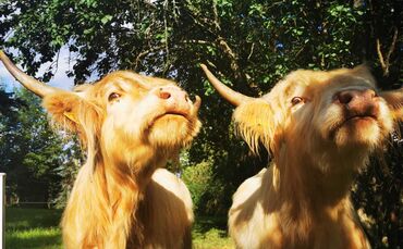 2de47e1a-b675-4465-ac64-bd830783f8c1