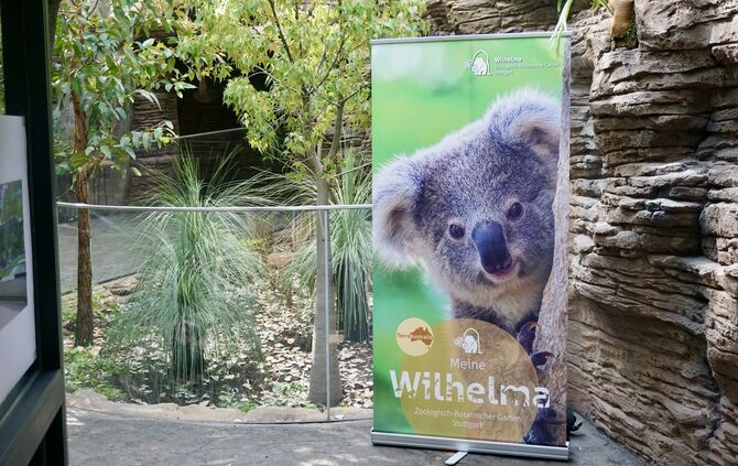 Koala-Gehege in der Wilhelma