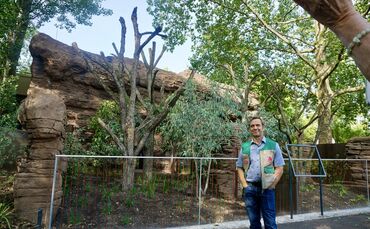 6D2F001D-348A-46E2-992F-BD60F8803938_1_201_a