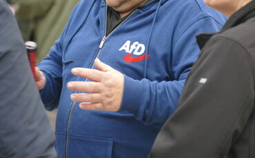 Kopie von AfD Symbolbild Symbol Symbolfoto