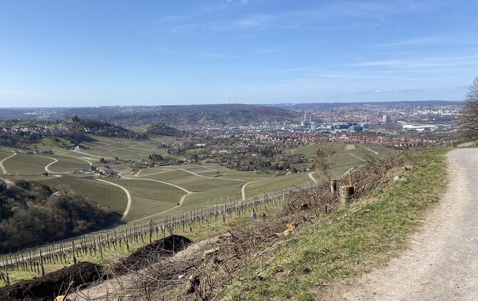 Ausblick vom Kappelberg