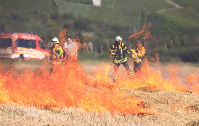 Flächenbrand