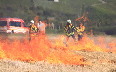 Flächenbrand
