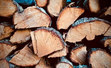 wood-3158428_1920_0