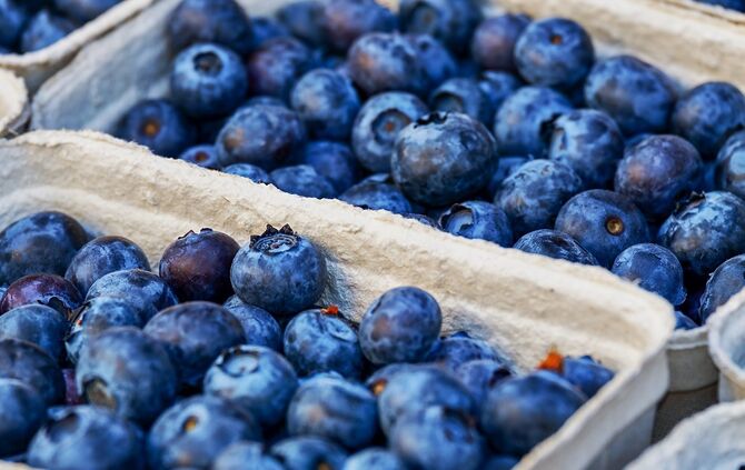 Blaubeeren