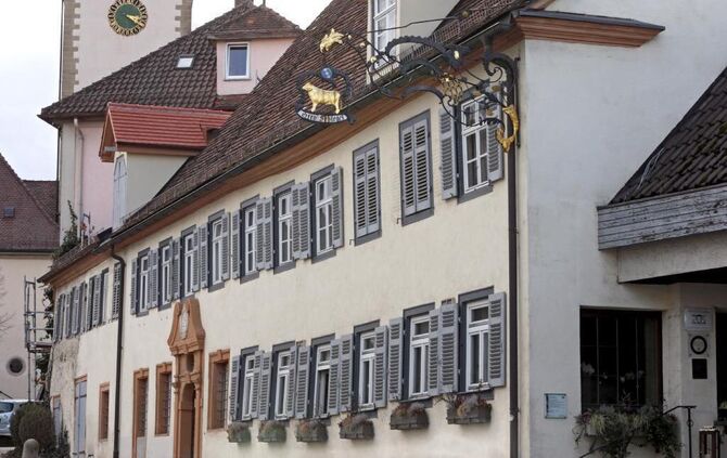 KernenKennenLernenOchsen