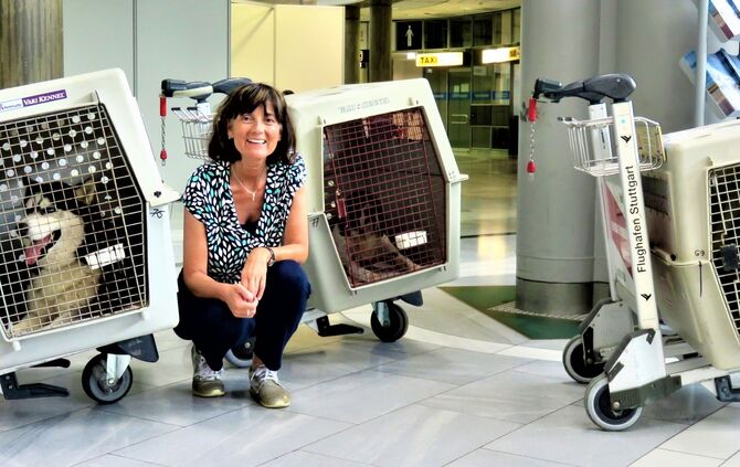 Flugpatin für Hunde