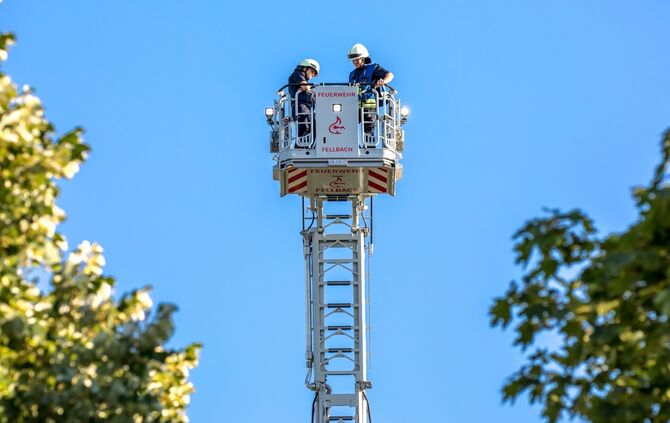 Gemeinsame Übung der Feuerwehren Fellbach, WN-Hgenach und Stuttgart-Sommerrain: Waldbrand bei Fellbach-Oeffingen, 14.07.2023.