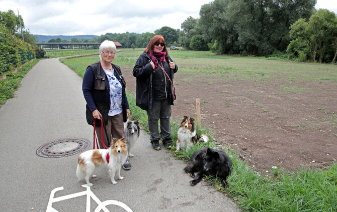 Hundesport
