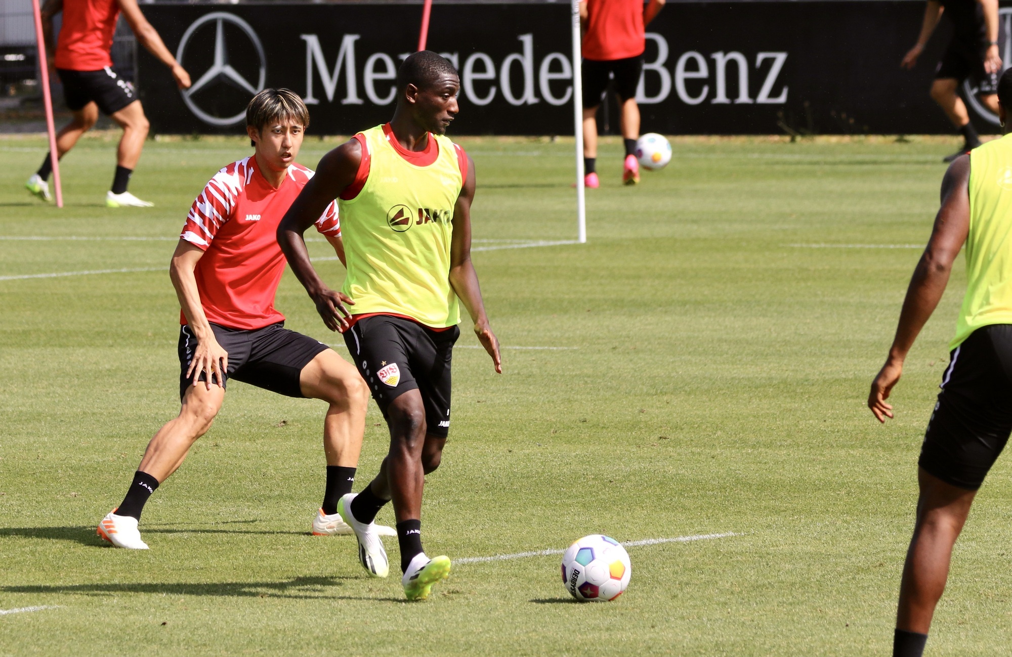 Guirassy und Silas für Afrika-Cup qualifiziert Was das für den VfB bedeutet - News über den VfB Stuttgart