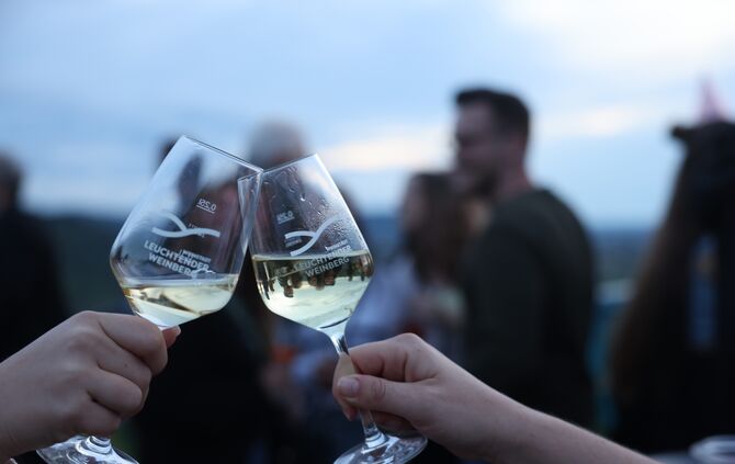 Leuchtender Weinberg