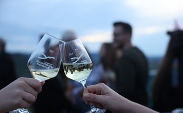 Leuchtender Weinberg