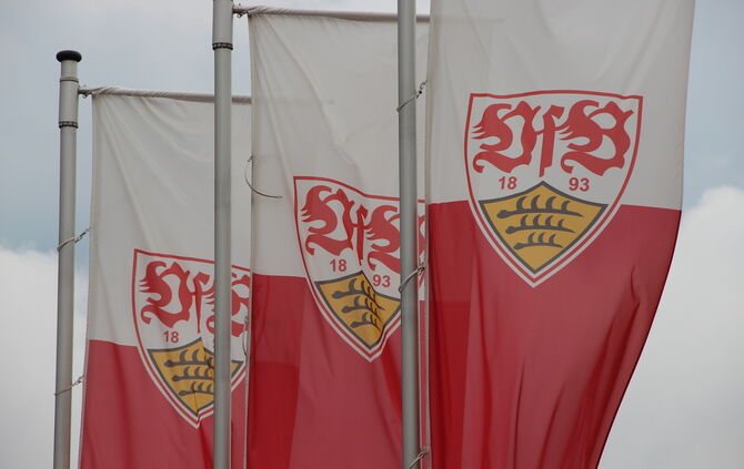 Kopie von VfB Symbolbild Fahnen Flagge