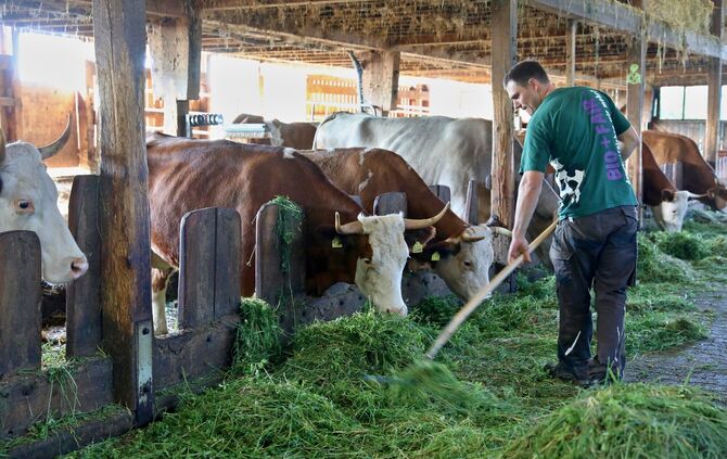 Landwirte und  Förster