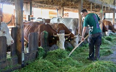 Landwirte und  Förster