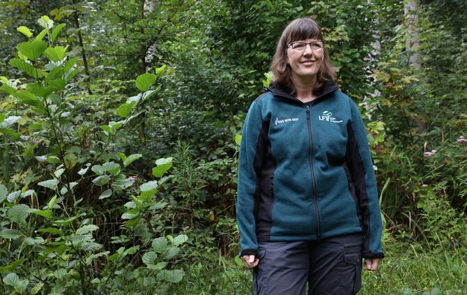 Klimawandelwaldurbach