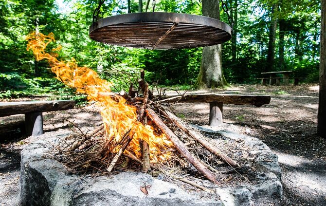 Perfekter Holzscheit, Holzfeuer, Schwenkgrill, Grillplatz Buoch, 17.07.2017.