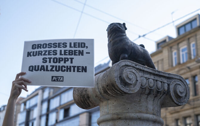 Peta Loriot-Denkmal Stuttgart