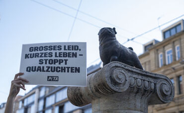 Peta Loriot-Denkmal Stuttgart