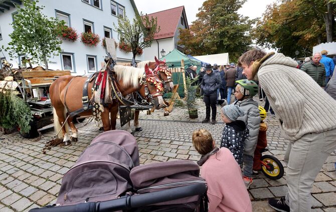 Bauernmarkt