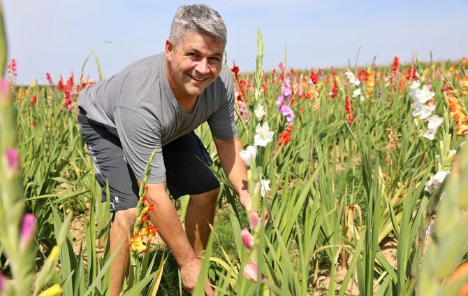 Blumenverkauf Häußermann