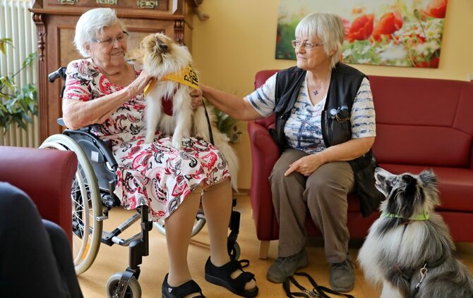 Hunde im Marienstift