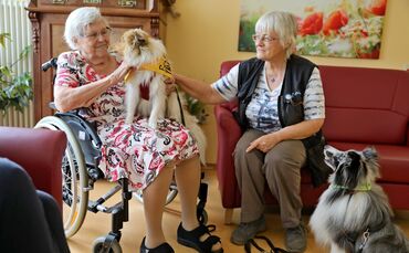 Hunde im Marienstift