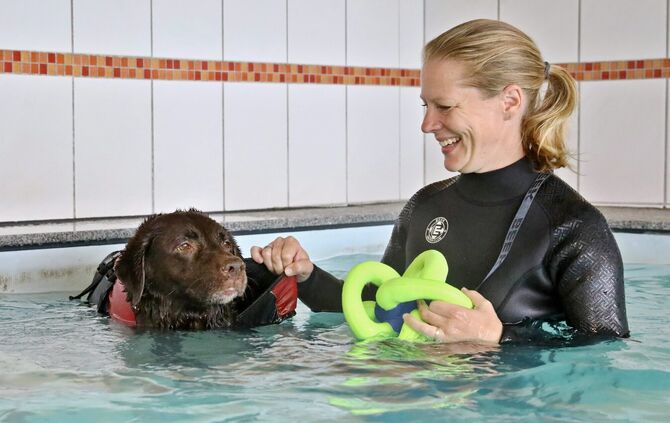 Hundephysiopraxis Laufstark