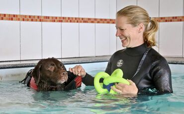 Hundephysiopraxis Laufstark 