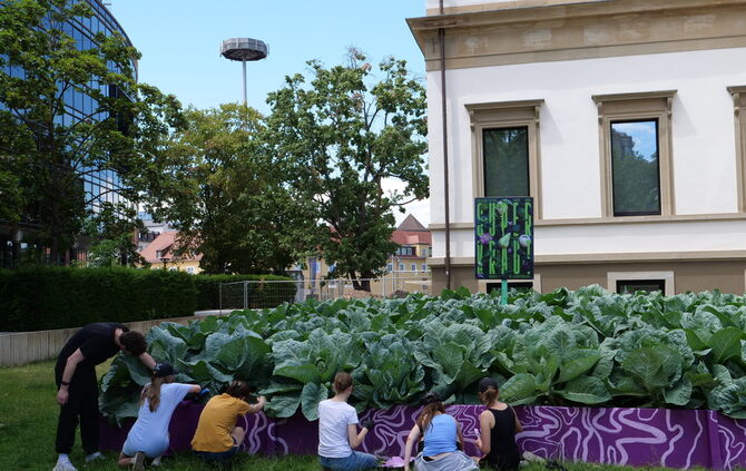 Das Superkraut-Festival im Stadtpalais Stuttgart.