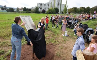 Geburtenbaum und Tafel