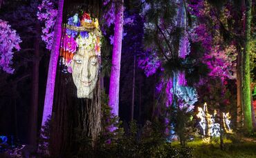 Christmas Garden Pressefoto Symbolbild Installation