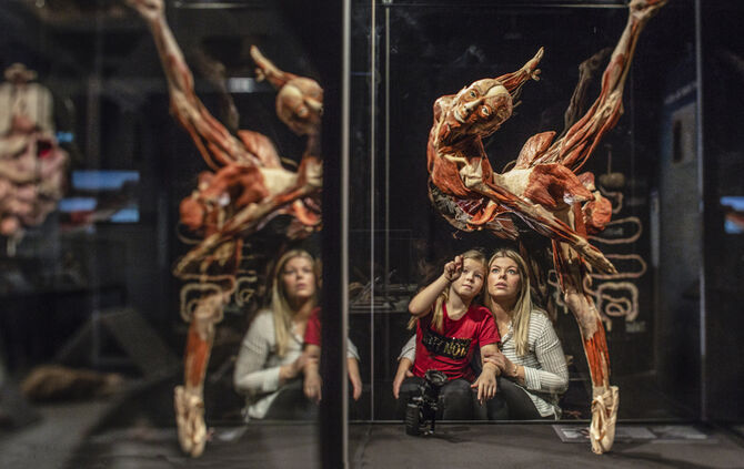 Körperwelten Ausstellung Stuttgart