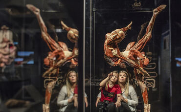 Körperwelten Ausstellung Stuttgart