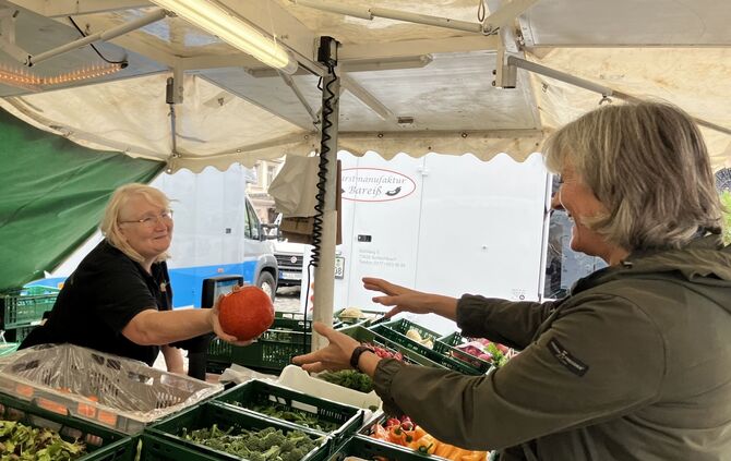 Kürbiszeit auf dem Wochenmarkt