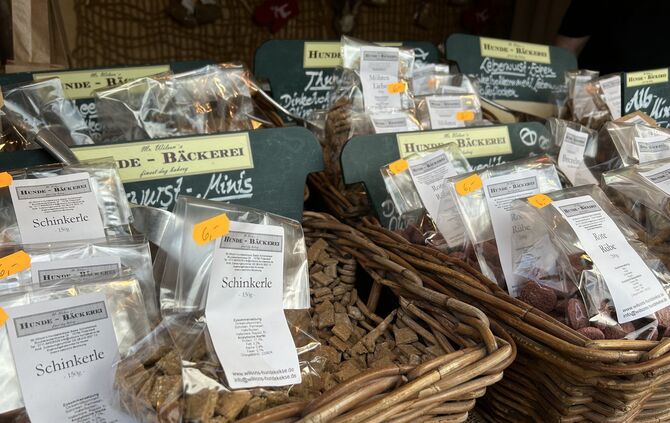 Wasen Stuttgart Volksfest Frühlingsfest Cannstatt Cannstatter