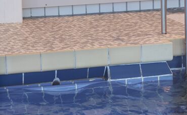 Symbolfotoschwimmbad