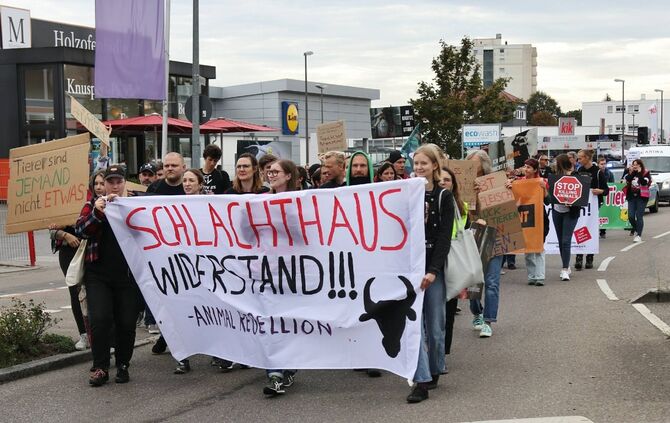 Demo gegen die Wiedereröffnung durch die Backnanger Innenstadt - Tierschützer demonstieren gegen Wiedereröffnung von Metzgerei K